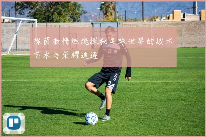 绿茵激情燃烧探秘足球世界的战术艺术与荣耀追逐