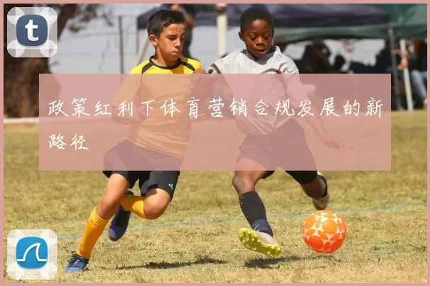 政策红利下体育营销合规发展的新路径