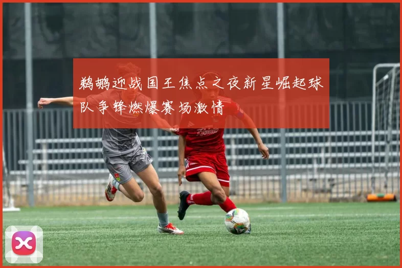 鹈鹕迎战国王焦点之夜新星崛起球队争锋燃爆赛场激情