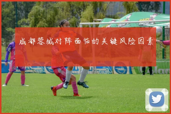 成都蓉城对阵面临的关键风险因素