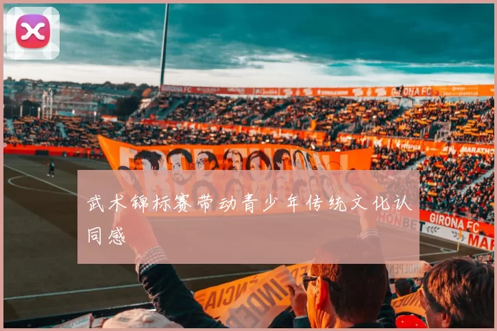 武术锦标赛带动青少年传统文化认同感