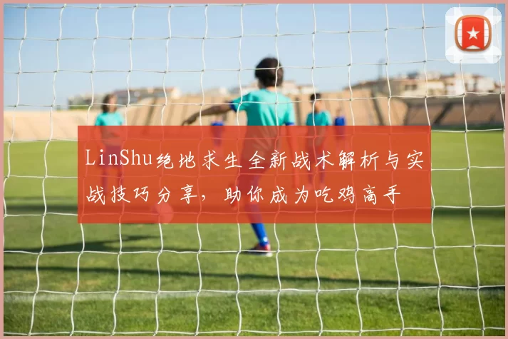 LinShu绝地求生全新战术解析与实战技巧分享，助你成为吃鸡高手