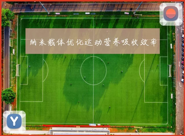 纳米载体优化运动营养吸收效率