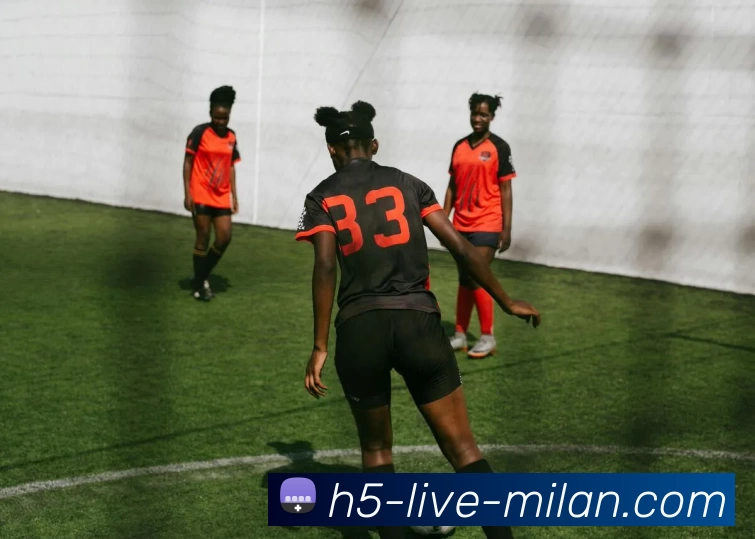 多媒体互动体验